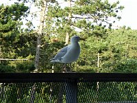 Foto 181
